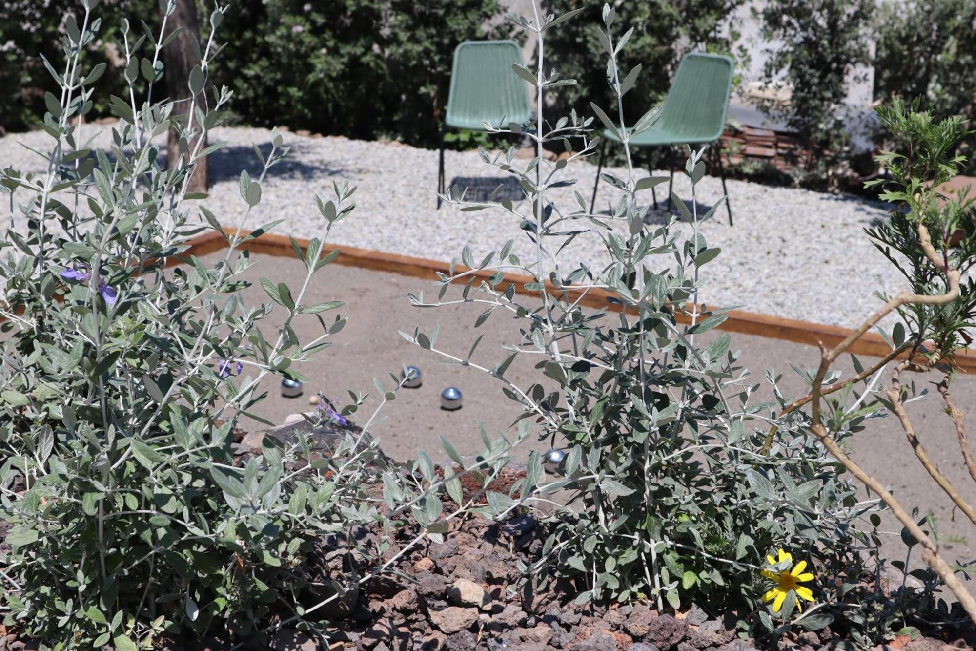 Bed and Breakfast Frangimare - La Malandrina Malfa  Exterior foto